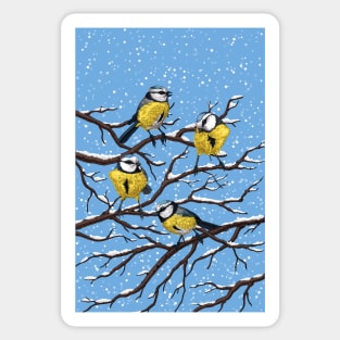 Blue tit birds in winter Sticker